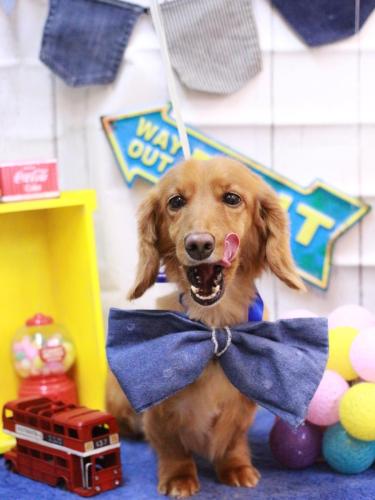 20230423しろくん